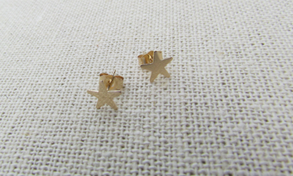 14K Gold Star Stud Earrings | Polished or Matte Satin